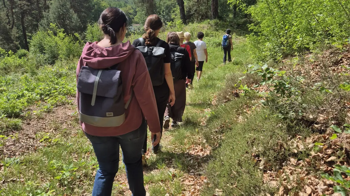 Sechs Frauen folgen Nadine Firl beim Waldbaden in Bad Muskau.