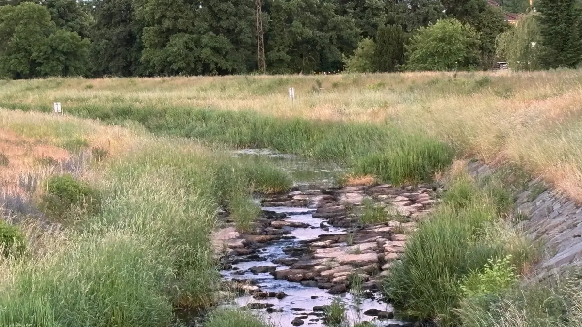 Impression von der Schwarzen Elster an einer der beiden Sohlschwellen in Tätzschwitz. Bereits seit Monaten führt der Fluss Niedrigwasser.