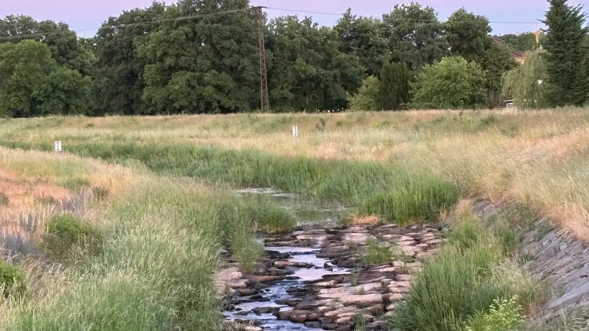 Impression von der Schwarzen Elster an einer der beiden Sohlschwellen in Tätzschwitz. Bereits seit Monaten führt der Fluss Niedrigwasser.