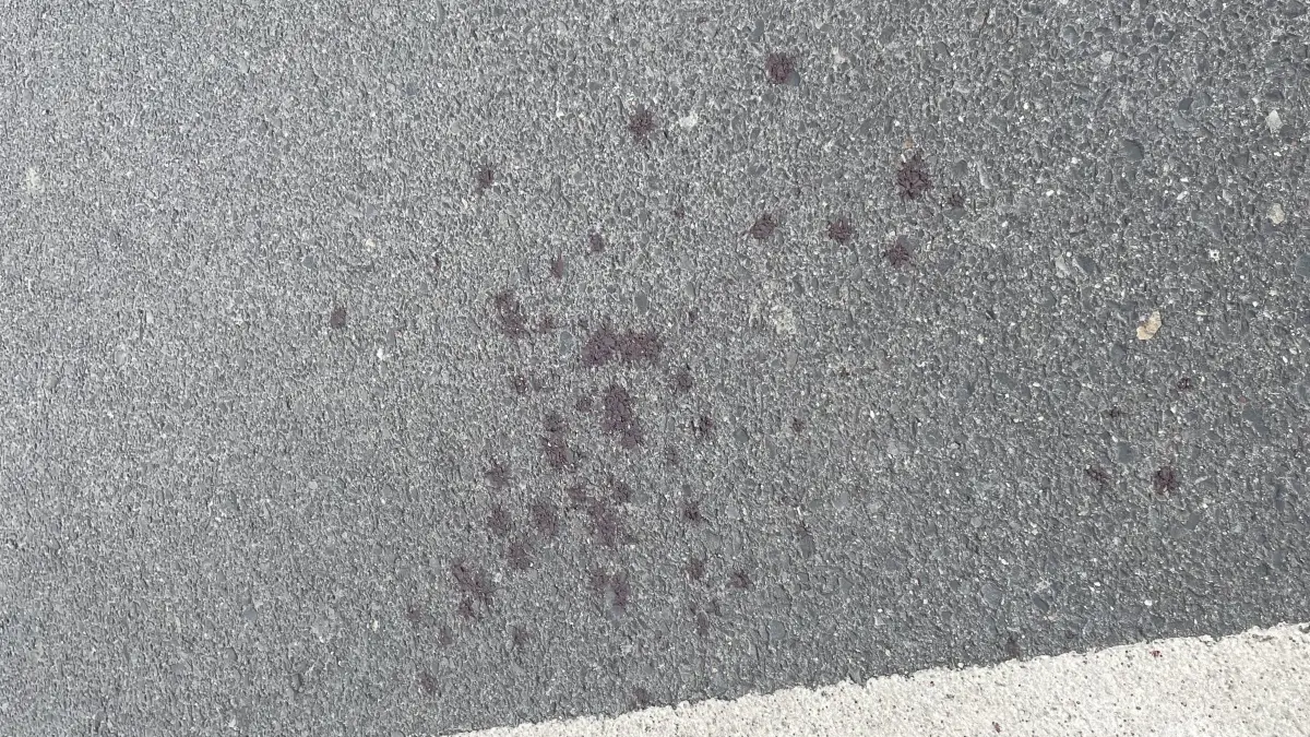 Kampfspuren vor einem Geschäft in der Holsteiner Straße in Finsterwalde. Ein alkoholisierter Mann verletzt eine Verkäuferin.