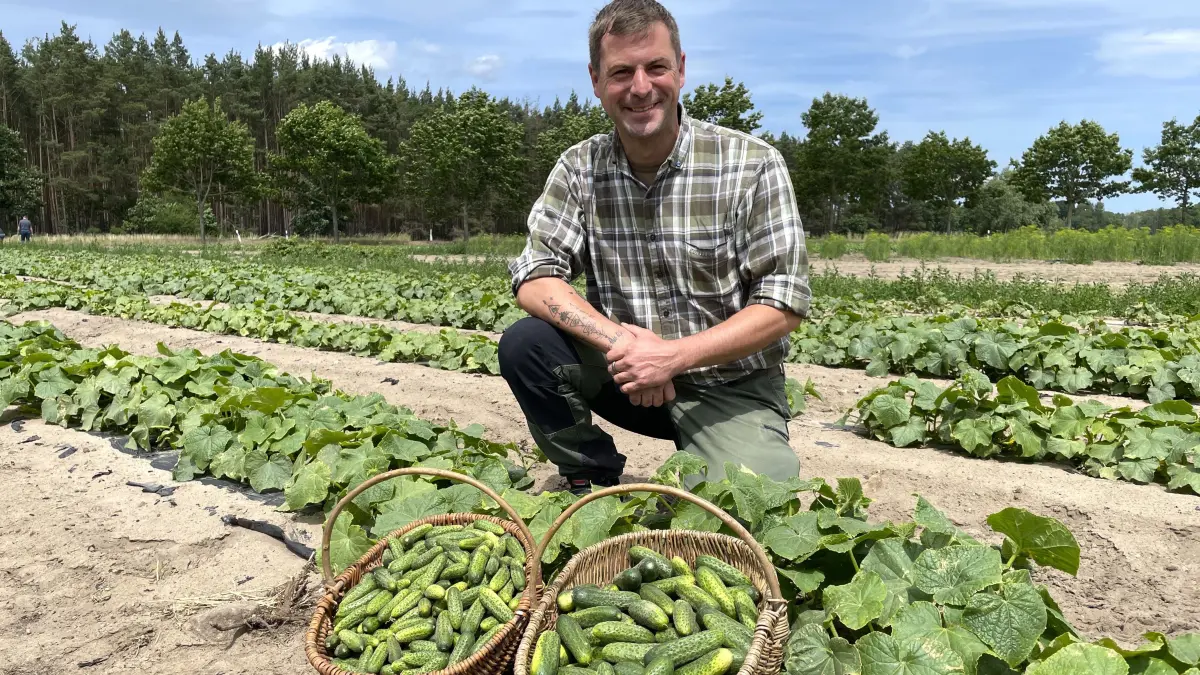 Christoph Frehn vom Biohof Schöneiche KG posiert am 16.06.2026 mit Gurken aus eigener Ernte auf einem Gurkenfeld in Hohenfeld bei Schöneiche.