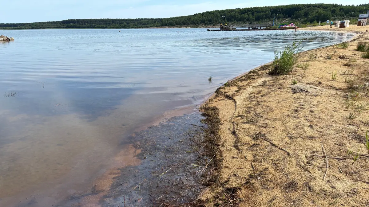 Ziemlich unappetitlich präsentiert sich derzeit dieser Abschnitt des Geierswalder Badestrandes. Reste abgestorbener Wasserpflanzen treiben am Ufer.