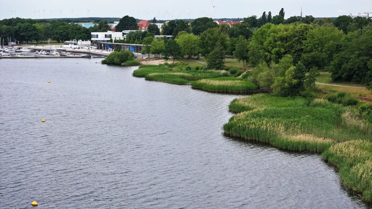 Die Uferbereiche östlich des Senftenberger Stadthafens sollen in den kommenden Wochen sanierungstechnisch angefasst werden.