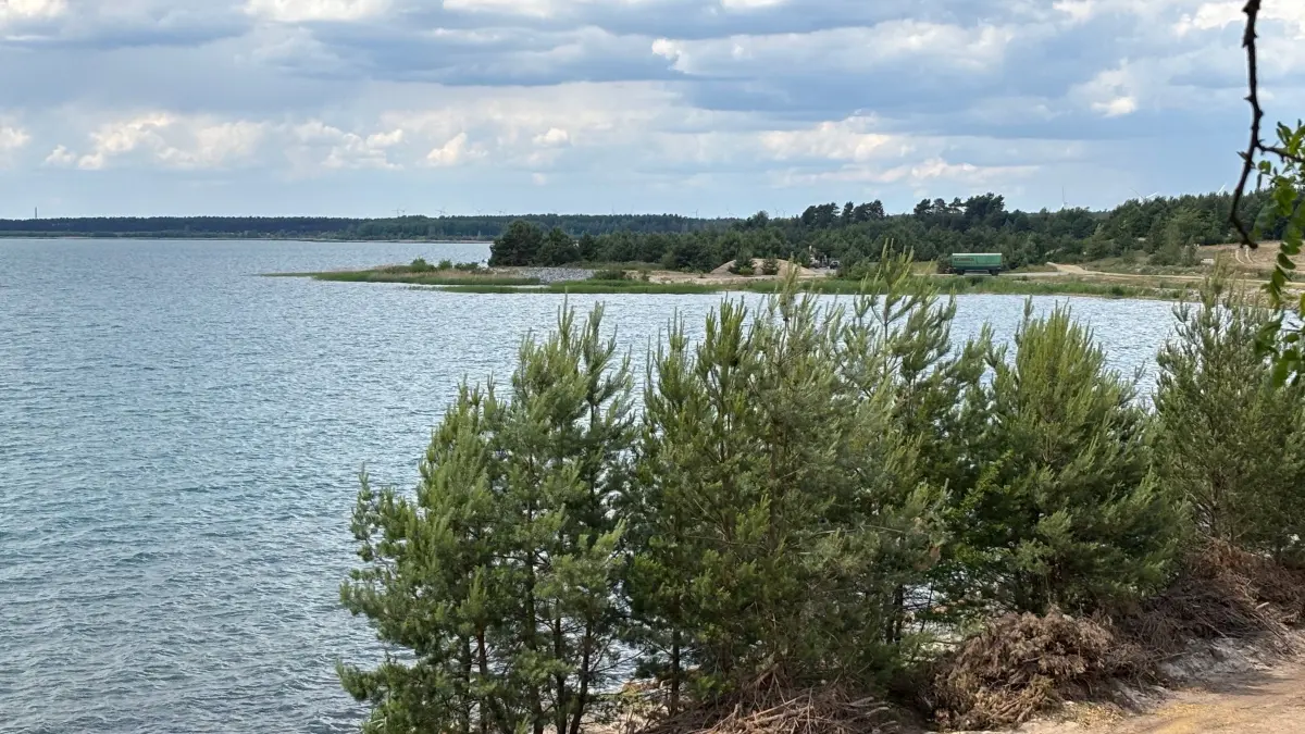 Blick zur Landzunge an der Nordostböschung des Partwitzer Sees. Die kleine Halbinsel erfreut sich schon lange bei Badegästen großer Beliebtheit.
