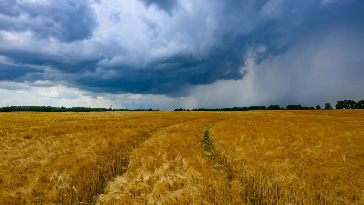 Gewitter über Brandenburg: 21.06.2026, Brandenburg, Treplin: Dunkle Gewitterwolken ziehen über die Landschaft im östlichen Brandenburg. Foto: Patrick Pleul/dpa +++ dpa-Bildfunk +++