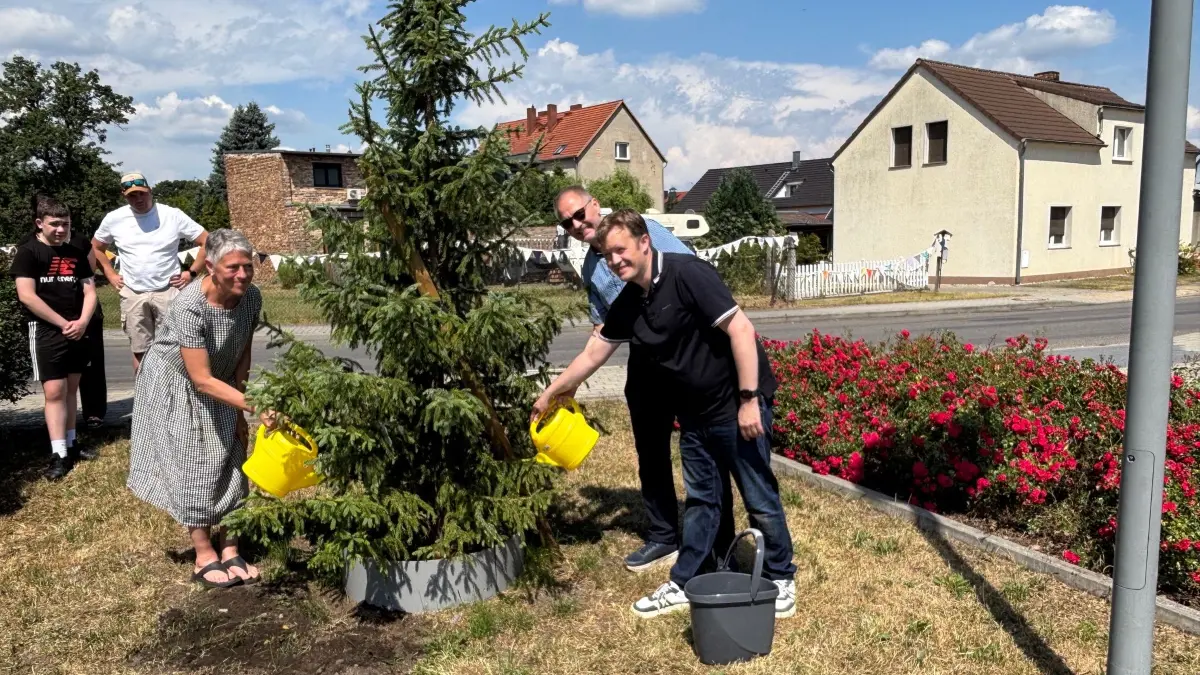 Mit der unlängst gepflanzten Serbischen Fichte haben die Hosenaer noch mehr vor. Ortsvorsteherin Katrin Konczak, Landtagsabgeordneter Wolfgang Roick und Bürgermeister Andreas Pfeiffer haben das Bäumchen mit reichlich Wasser versorgt.
