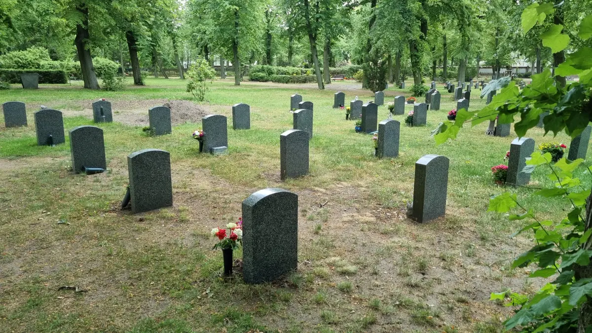 Gräberfeld auf dem Friedhof in Vetschau. Wiederholt kommt es zu Störungen der Totenruhe.
