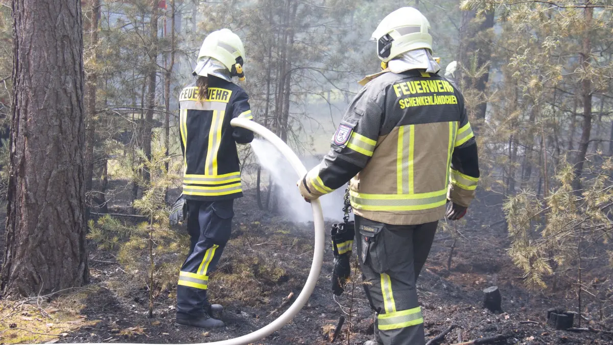 Waldbrand bei Halbe in Dahme-Spreewald