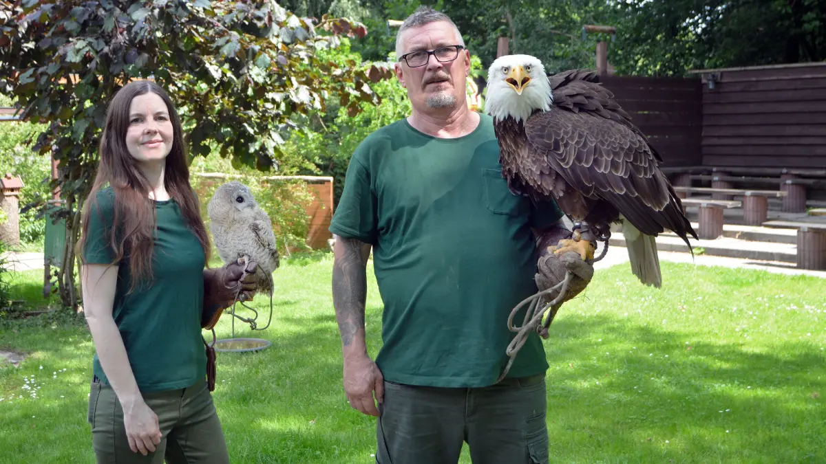 Auf dem Adler- und Jagdfalkenhof „Zur Calauer Schweiz“ ist das Glück zurückgekehrt. Zu den jüngsten Neuankömmlingen von Sina und Dirk von Bargen zählen u.a. ein Weißkopfseeadler und ein Waldkauz.