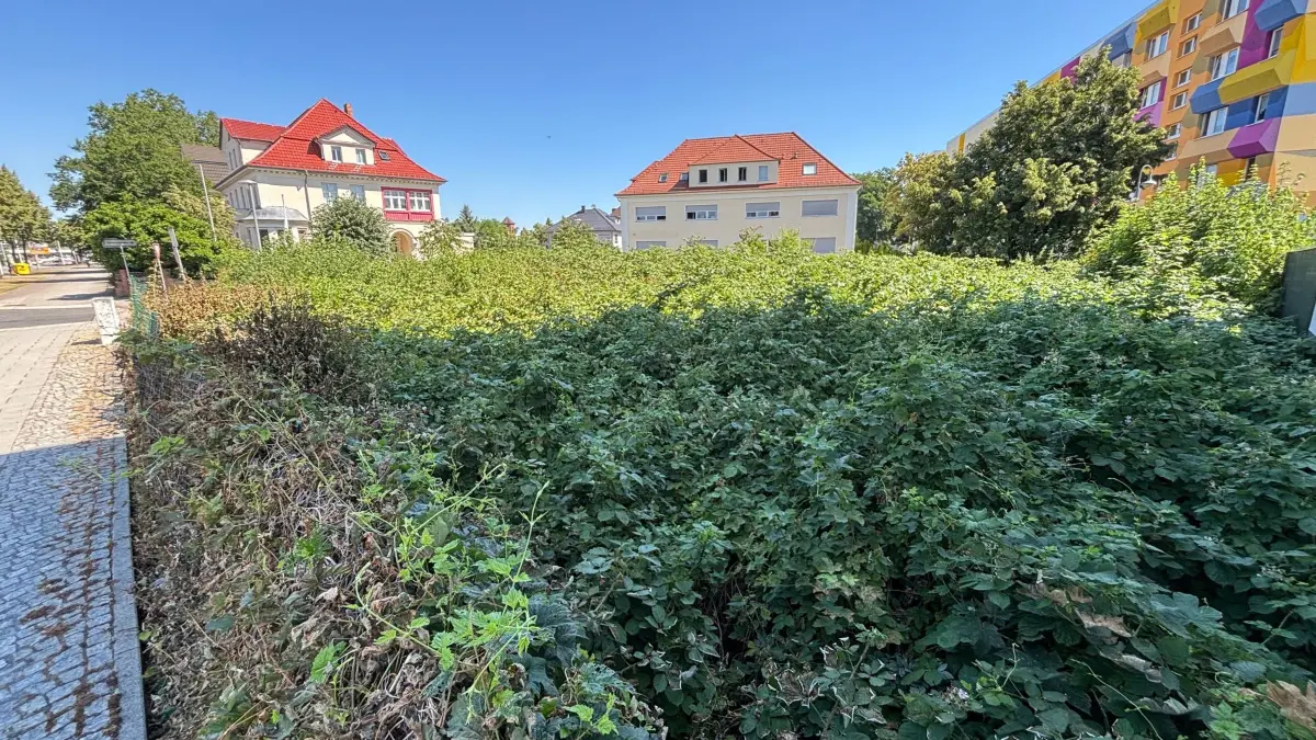Dieses Grundstück östlich der Senftenberger Bahnhofstraße am Abzweig der Puschkinstraße steht derzeit im Fokus der kommunalen Entscheider.