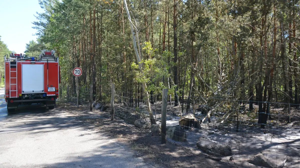 Durch das schnelle Eingreifen der Feuerwehr konnten die Flammen im Kiefernbestand bei Spremberg schnell gelöscht werden. 32 Einsatzkräfte waren am Freitagnachmittag vor Ort.