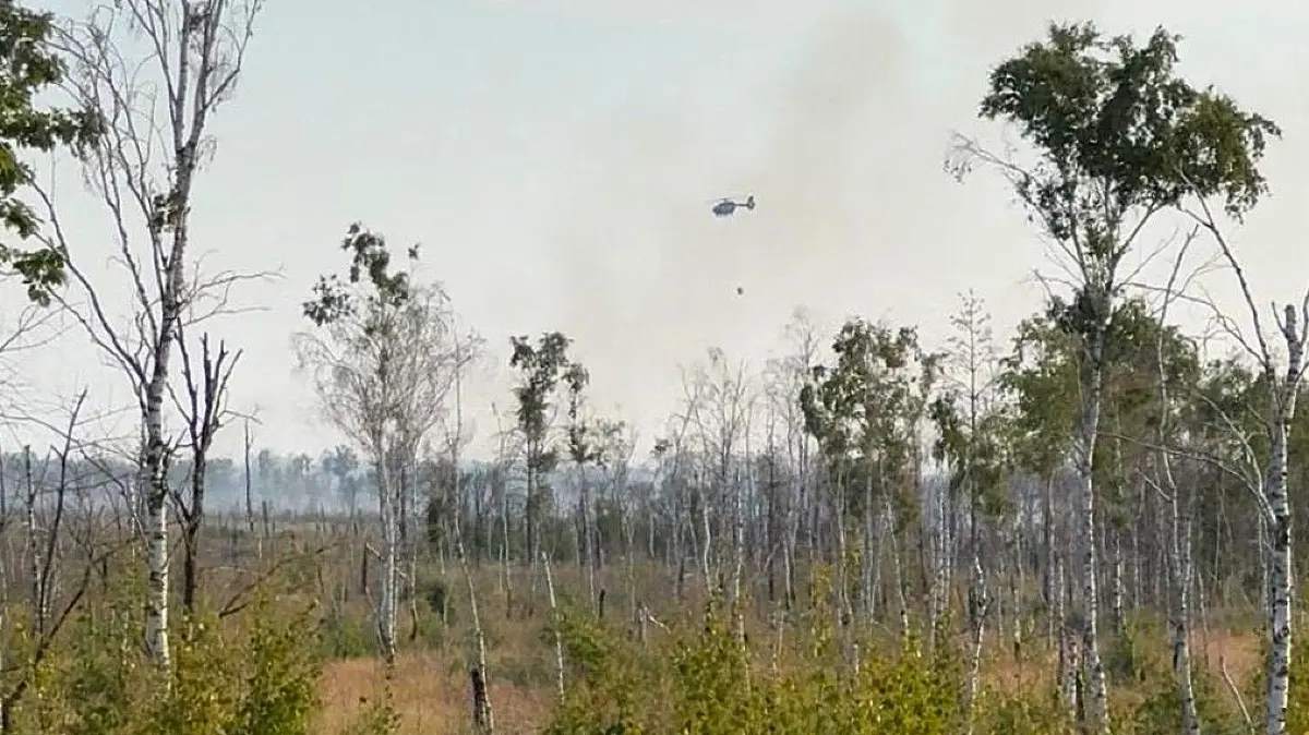Wieder brennt es in der Gohrischheide. Ein Löschhubschrauber ist bereits im Einsatz.