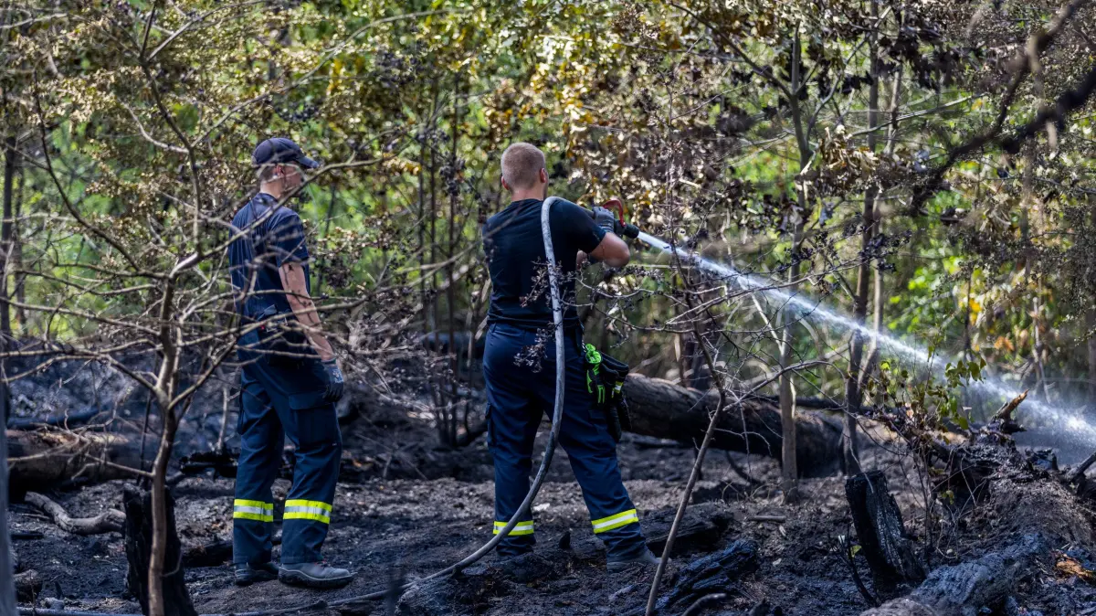 Das derzeitige Extremwetter begünstigt den Ausbruch von Feld- und Waldbränden in der Lausitz. Es ist so knochentrocken, dass der kleinste Funke reicht, um wie hier bei Drochow ein riesiges Feuer auszulösen.