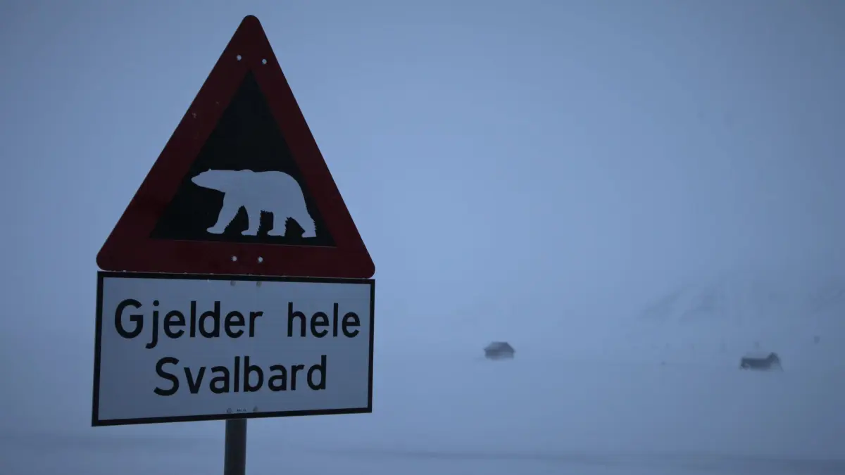 Eisbär auf Spitzbergen erschossen: ARCHIV - 23.02.2023, Norwegen, Longyearbyen: Ein Verkehrsschild warnt an einer Straße auf der nordnorwegischen Inselgruppe Spitzbergen vor Eisbären. «Gjelder hele Svalbard» bedeutet: «Gilt für ganz Spitzbergen». (zu dpa: «Spitzbergen: Eisbär wegen Gefahr für Reisegruppe erschossen») Foto: Steffen Trumpf/dpa +++ dpa-Bildfunk +++