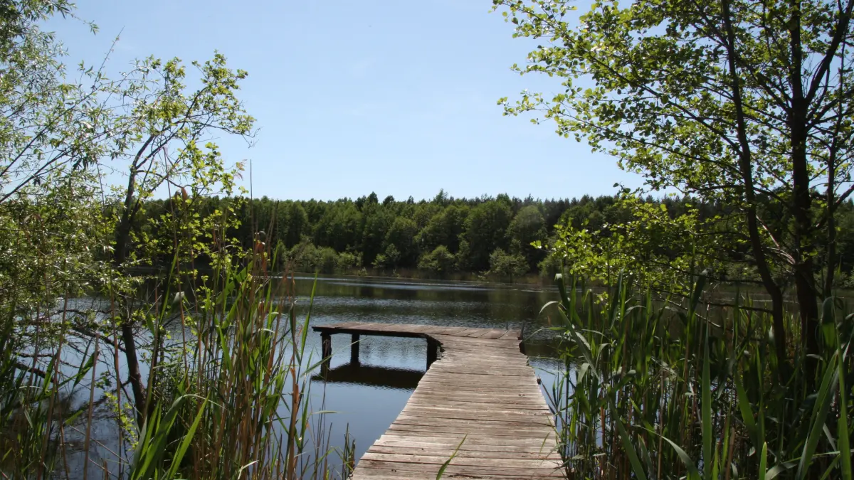 (ohne Überschrift): Refugium der Natur: Die Teichlandschaft an der Blumberger Mühle ist ein Vogelreservoir im Biosphärenreservat Schorfheide Chorin.