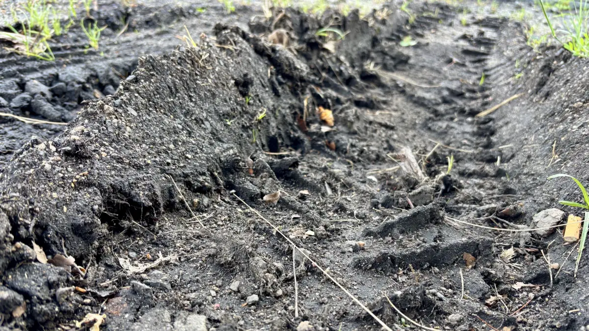Die Waldwege in Krauschwitz sind erheblich nach dem Holzeinschlag zerfahren worden. Nun reagiert die Gemeinde.
