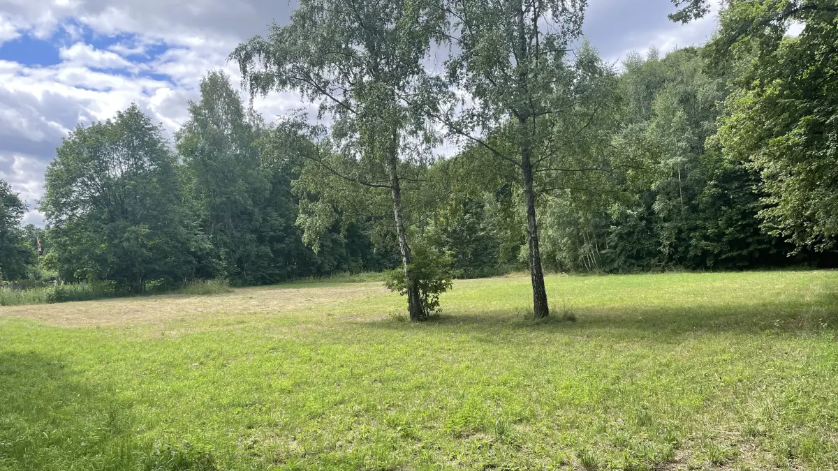 Unmittelbar vor der Bürgerheide in Finsterwalde soll ein Parkplatz entstehen. Die Pläne sind nicht neu. Stadtverwaltung und Stadtverordnete streiten darüber mit diesem Ergebnis.