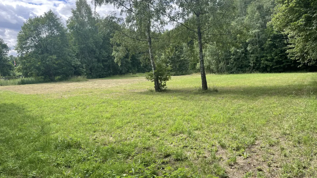 Unmittelbar vor der Bürgerheide in Finsterwalde soll ein Parkplatz entstehen. Die Pläne sind nicht neu. Stadtverwaltung und Stadtverordnete streiten darüber mit diesem Ergebnis.