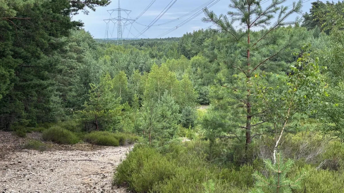 Über den Jungfernstein führt dieser sandige Weg. Somit kann die dort verlaufende Stromtrasse gut erreicht werden. Der Ausblick beschränkt sich in beiden Richtungen lediglich auf schmale Streifen.