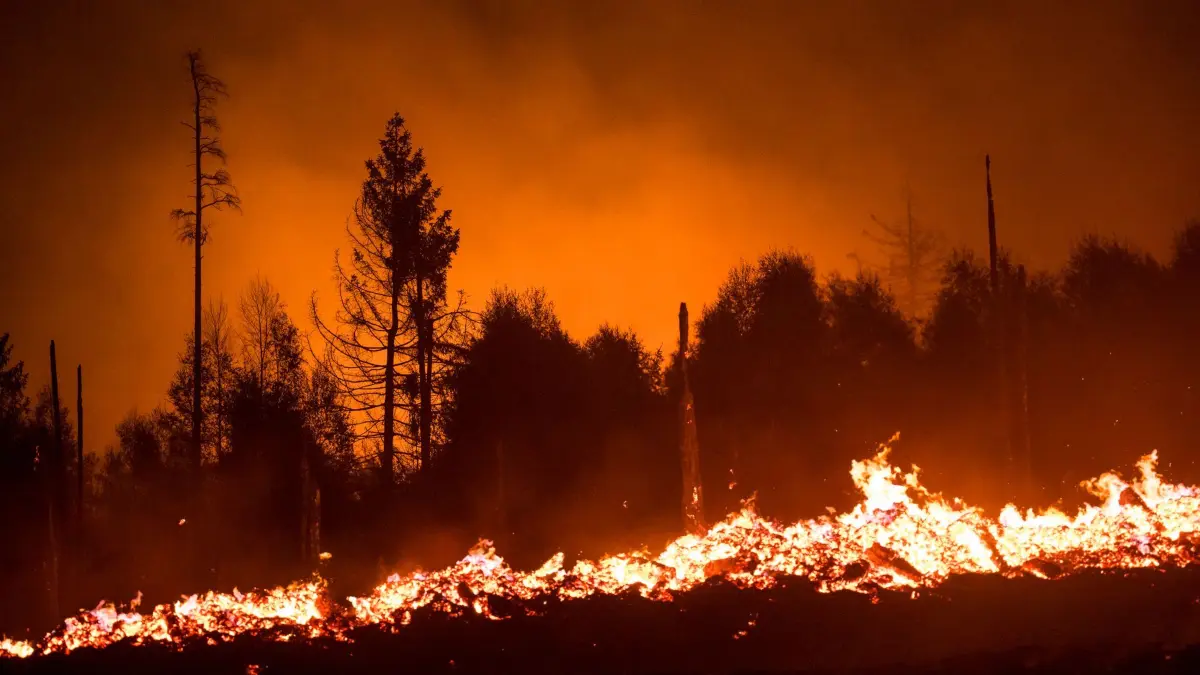 Flammen lodern in einem Waldstück: ARCHIV - Rauch am Himmel statt Urlaubsidylle: Bei Pauschalreisen kann es je nach Beeinträchtigung Geld zurück geben. (zu dpa: «Waldbrand am Urlaubsort: Diese Rechte haben Sie») Foto: Daniel Vogl/dpa/dpa-tmn - Honorarfrei nur für Bezieher des dpa-Themendienstes +++ dpa-Themendienst +++