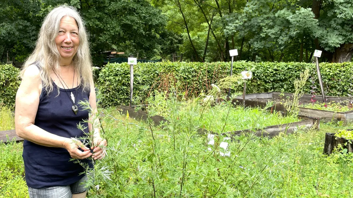 Karin Bürger, Museumspädagogin und Wildkräuterexpertin, am 29.06.2026 im Epochengarten des Archäotechnisches Zentrum Welzow (atz)