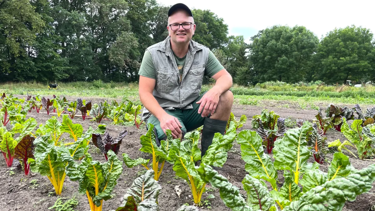 Felix Bengs hockt am 06.07.2026 auf seinem Acker des Biohofes Werenzhain zwischen Mangold.