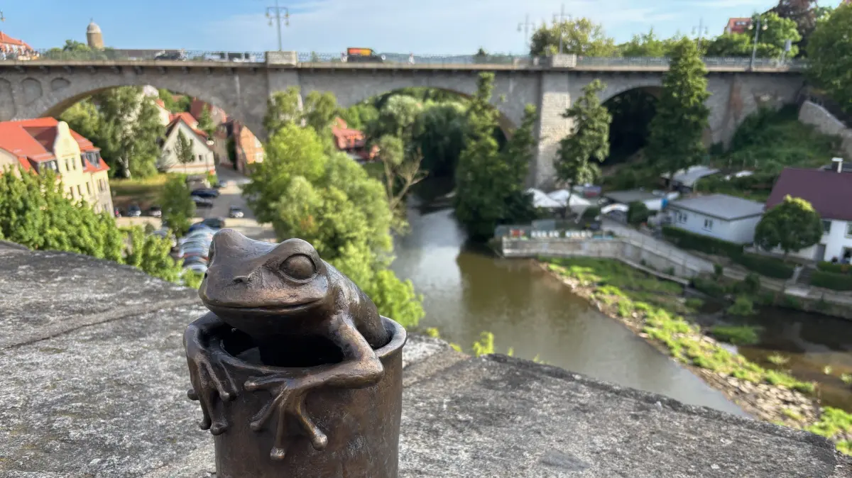 Seit Kurzem ist der Bautzener Frosch in Bronze auf der Mauer der alten Wasserkunst präsent. Im Hintergrund ist die Friedensbrücke zu sehen.