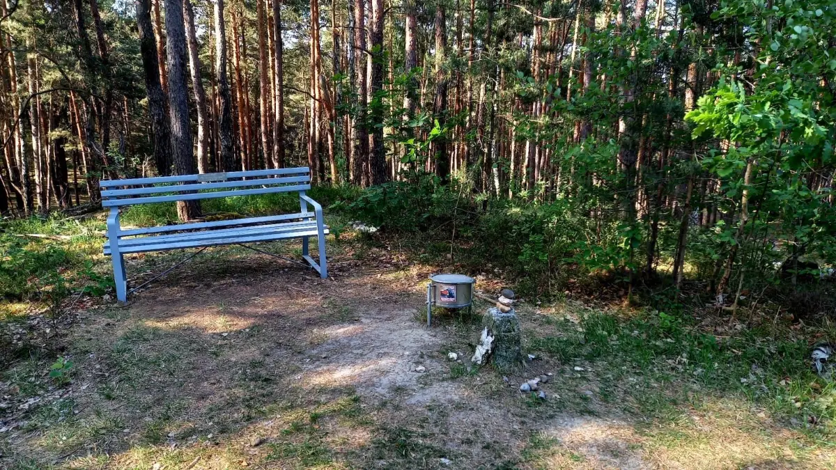 Kahle Glatze in Guben