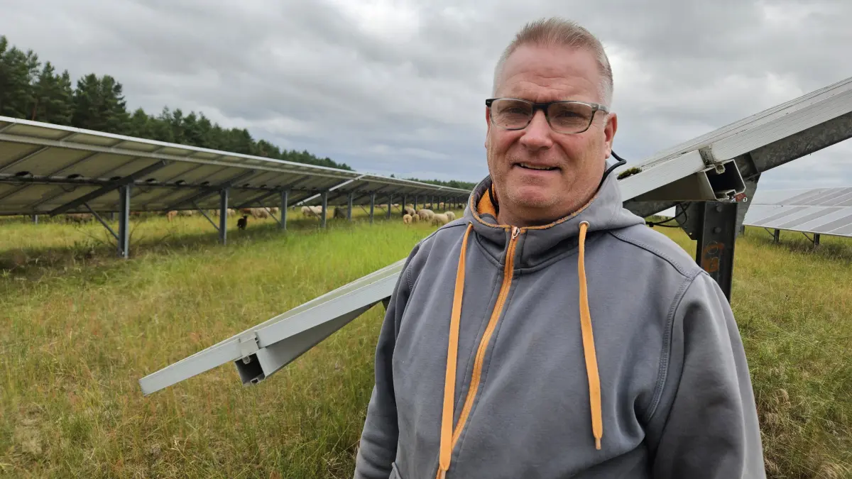 Mario Stenske, Geschäftsführer der Landschafts-, Nutz- und Wildtierpflege GmbH, auf der Agri-Photovoltaikanlage, auf der Schafe die Flächen zwischen den Solarmodulen beweiden.