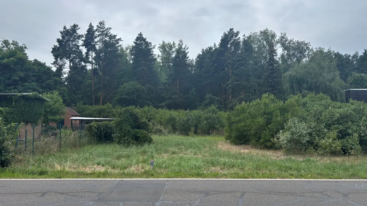 Dieses Baugrundstück an der L49 in Ragow wird von der Stadt Lübbenau verkauft. Ein Käufer muss sich aber mit strengen Bedingungen abfinden.