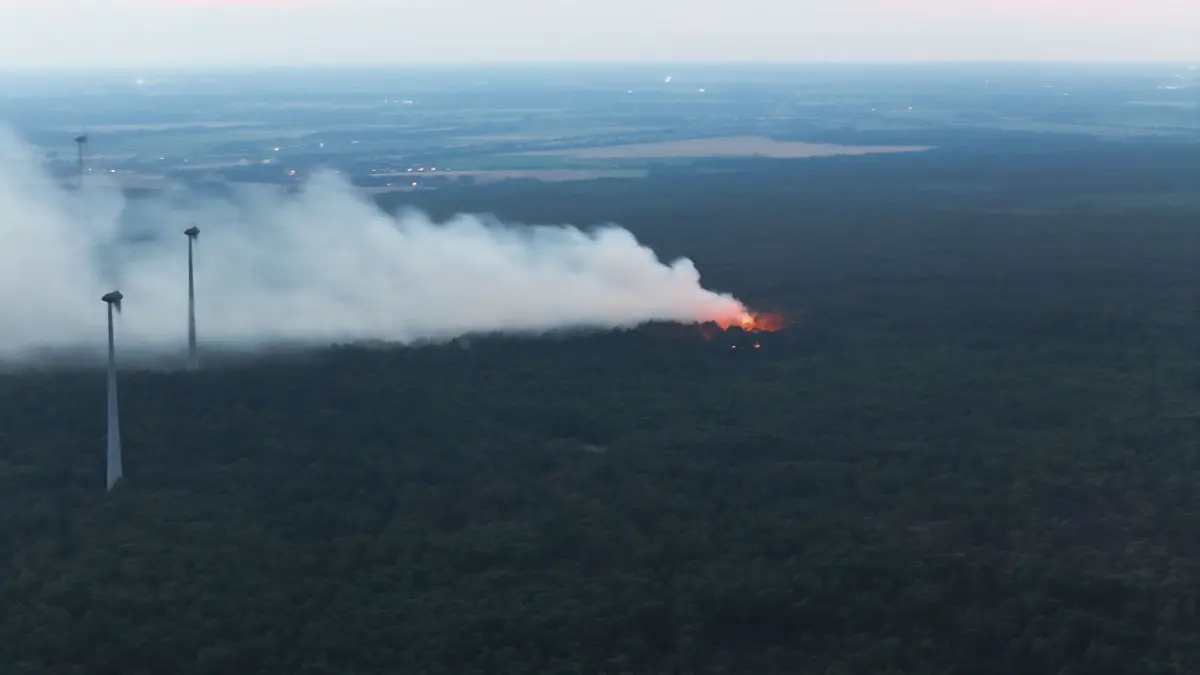 Waldbrand bei Jüterbog