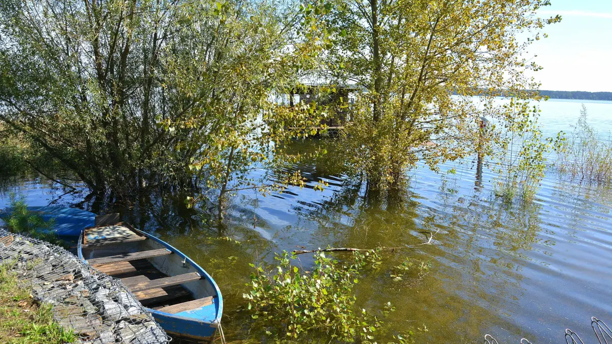 Wildwuchs am Spremberger Stausee. Der Staudamm macht deshalb Probleme. Die Talsperre wird jetzt gezielt abgelassen, damit die Pflanzen mit der chemischen Keule beseitigt werden können.