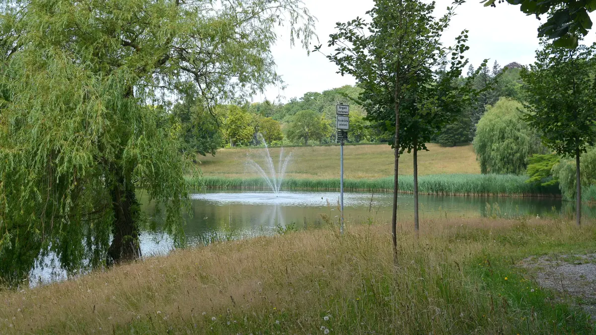 Die Fontäne sprudelt im Schwanenteich, doch die Wasserpest wächst weiter. Mit Detailuntersuchungen will Spremberg der Wasserpest Herr werden.