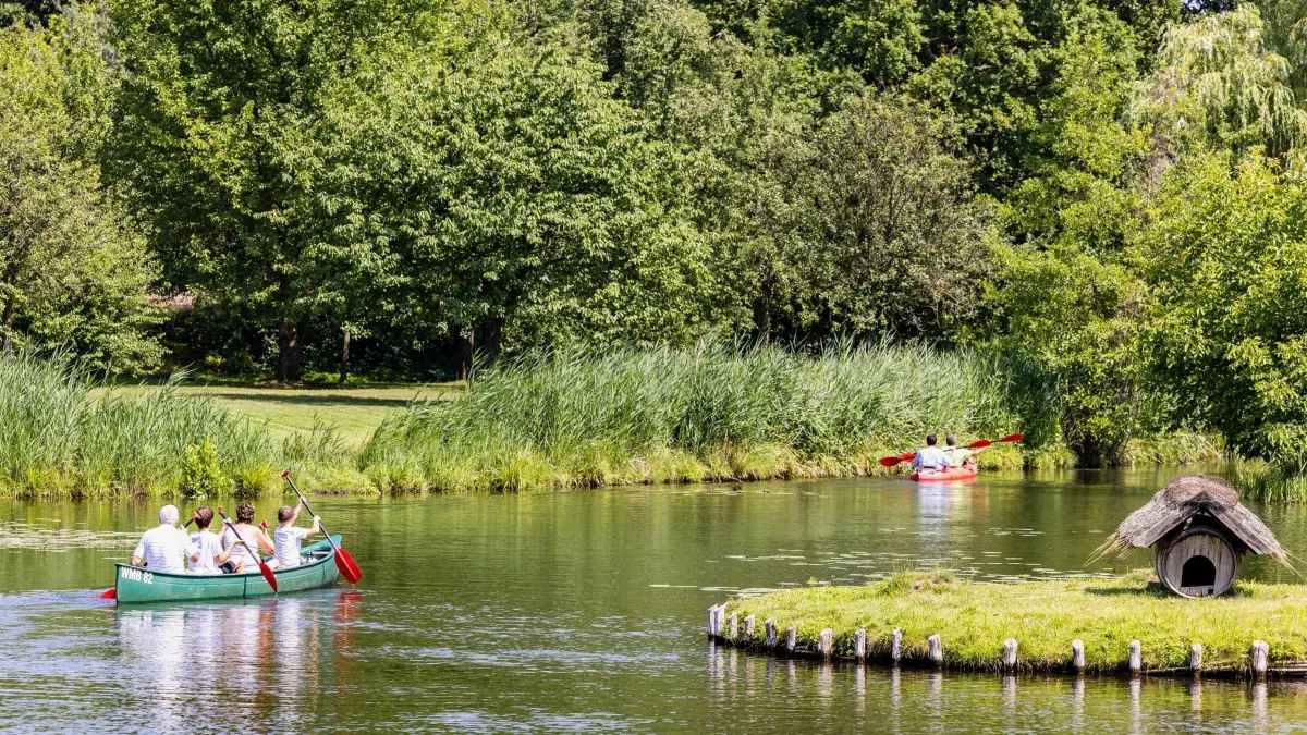 Befall von Eichenprozessionsspinnern im Unterspreewald