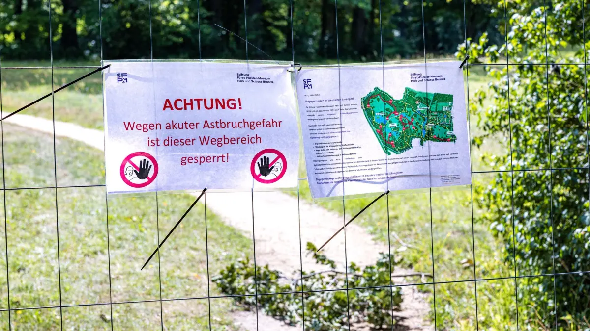Sperrungen im Branitzer Park: 20.07.2026, Brandenburg, Branitz: Schilder an einem Zaun weisen auf gesperrte Wege hin. Hinter dem Zaun liegt ein von einer Eiche gefallener Ast. Aufgrund akuter Gefahr von Astabbrüchen sind seit heute einige Wege im Branitzer Park gesperrt. Für Besucher stehen aber weiterhin viele Wege zwischen den Branitzer Sehenswürdigkeiten offen. Foto: Frank Hammerschmidt/dpa +++ dpa-Bildfunk +++