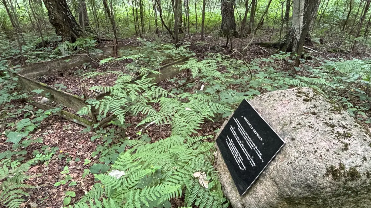 Die Ortserinnerungsstätte für Nossedil befindet sich mitten im Mischwald. Sie ist derzeit nur mit größerer Kraftanstrengung erreichbar. Doch ein Besuch lohnt sich.