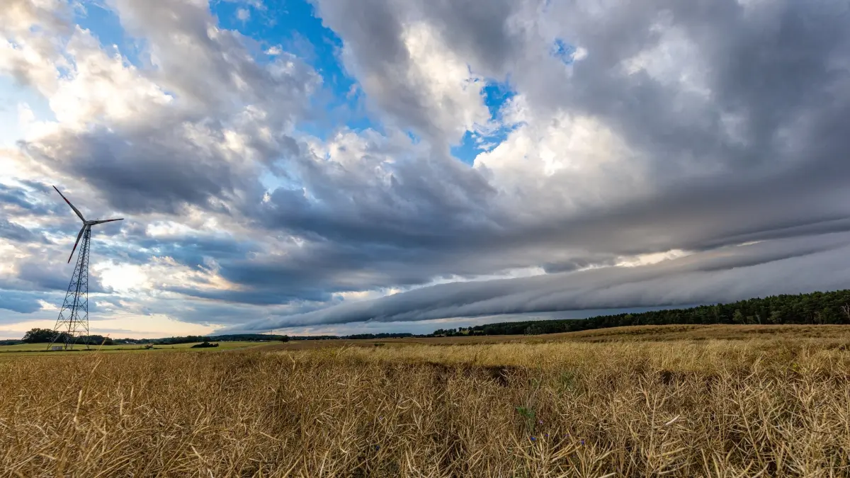 Wetter in Südbrandenburg: 23.07.2026, Brandenburg, Schorbus: Eine Böenwalze, auch Shelfcloud genannt, ist am Abendhimmel zu sehen. In der kommenden Nacht kann es in der Region noch Regen und Gewitter geben, bevor es morgen und am Sonntag trocken bleibt. Die Temperaturen steigen bis nahe an die 38-Grad-Marke. Foto: Frank Hammerschmidt/dpa/ZB - Honorarfrei nur für Bezieher des Dienstes ZB-Funkregio Ost +++ ZB-FUNKREGIO OST +++