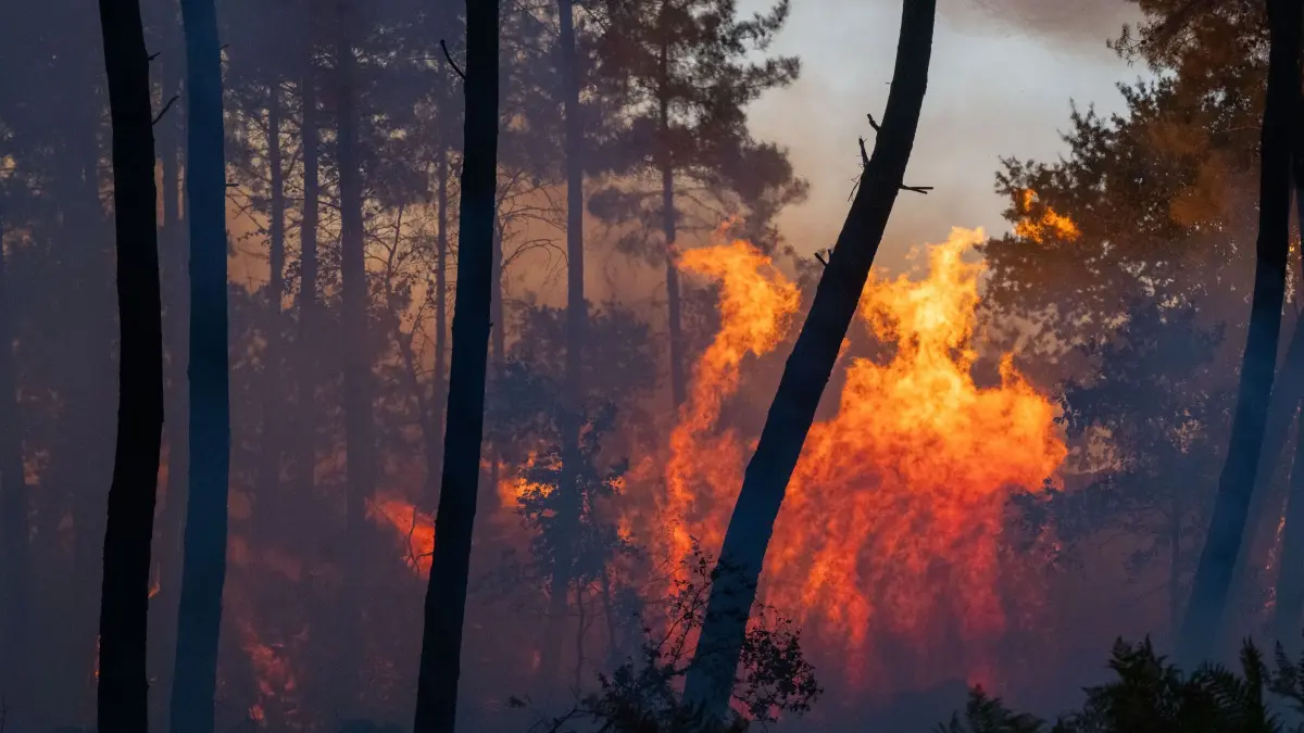 Brände in Frankreich: 23.07.2026, Frankreich, Le Porge: Ein Waldbrand breiten sich in der Nähe der Region Le Proge im Westen Frankreichs aus. Foto: Caroline Blumberg/AP/dpa +++ dpa-Bildfunk +++