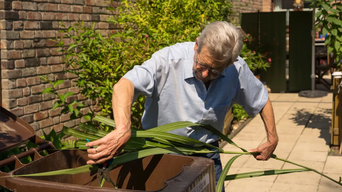 Garten- und Küchenabfälle gehören ausschließlich in die Biotonne.