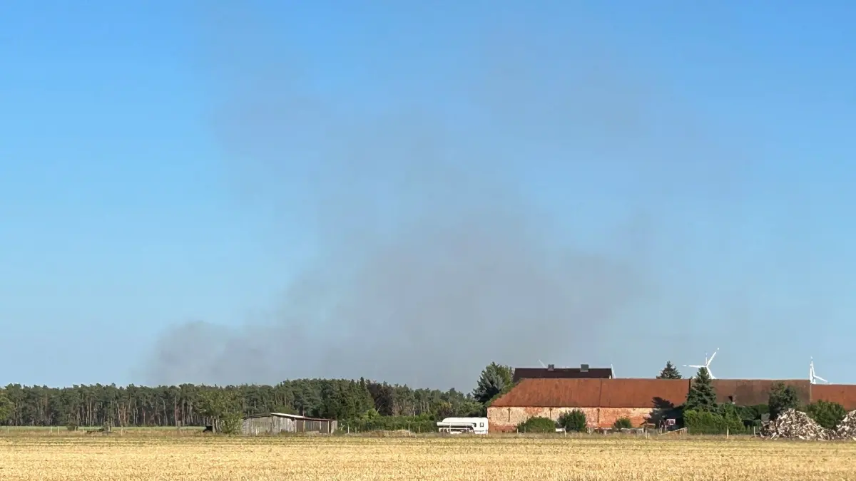 Am Dienstagnachmittag brennt der Wald in Döbrichau bei Torgau. Auch Wehren aus Elbe-Elster sind alarmiert.