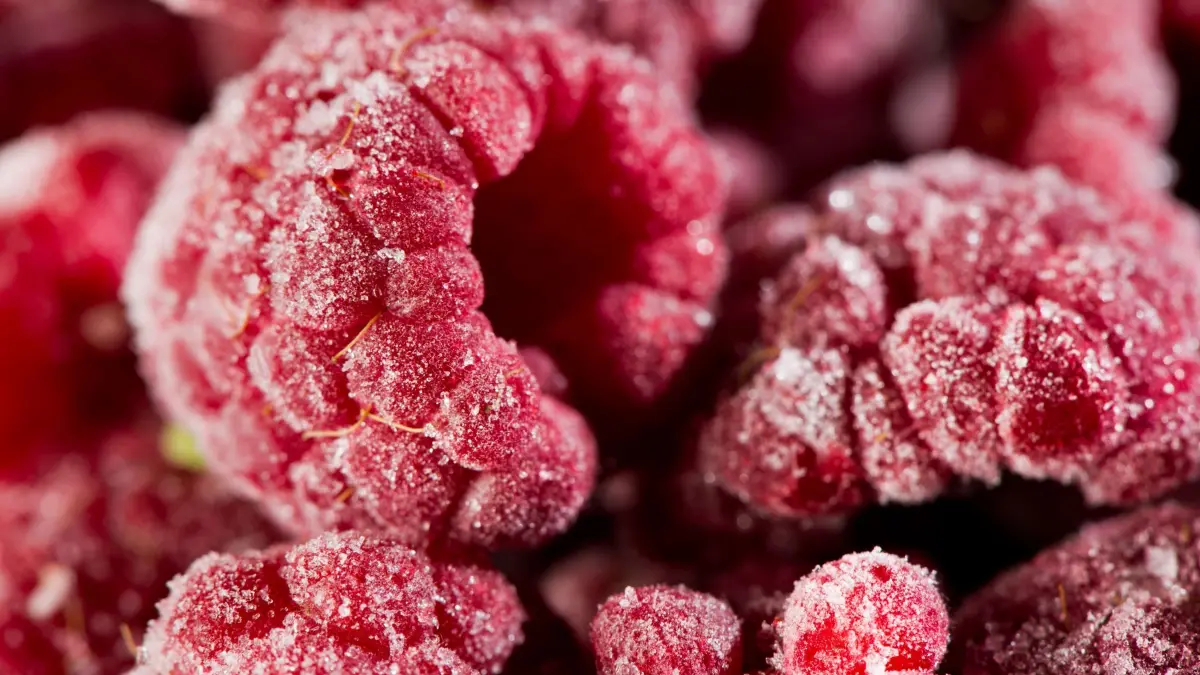 Tiefgekühlte Himbeeren: ARCHIV - Um eventuelle Keime abzutöten, empfiehlt es sich, Tiefkühlbeeren vor dem Verzehr für einige Minuten bei 90 Grad zu erhitzen. (zu dpa: «Auch wenn's nicht sexy klingt: TK-Beeren unbedingt erhitzen») Foto: Franziska Gabbert/dpa-tmn - Honorarfrei nur für Bezieher des dpa-Themendienstes +++ dpa-Themendienst +++