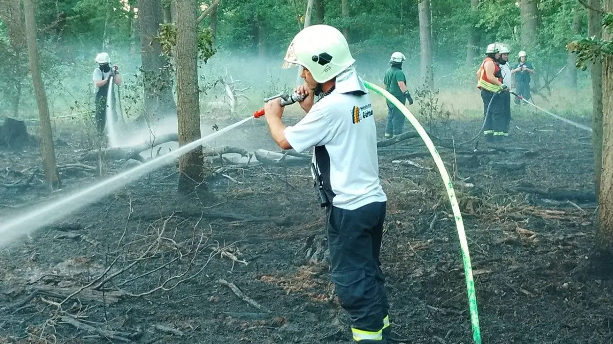 Waldbodenfeuer, wie hier bei Falkenberg im Beyrischen Winkel, müssen nach dem Löschen der Flammen aufwendig mit der Hand nachbearbeitet werden.