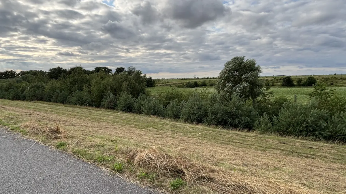 Hinter den Bäumen ist das bereits rekultivierte Areal des Tagebaus Reichwalde zu sehen. Gegenüber des Fahrradwegs der Leag liegt der Ortsteil Altliebel. Die Bewohner sorgen sich um riesige Windkraftanlagen "vor der Haustür".