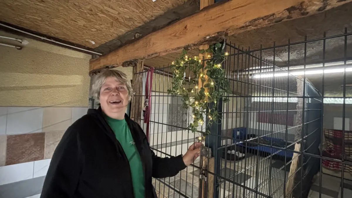 Liane Schneider hat viel in ihre Pfötchenfarm investiert. Schließlich sollen sich die Pflegetiere bei ihr wohlfühlen. Ein Nachtlicht und Unterhaltung aus dem Radio gehören wie selbstverständlich dazu, davon ist die Pensionsmutter überzeugt.