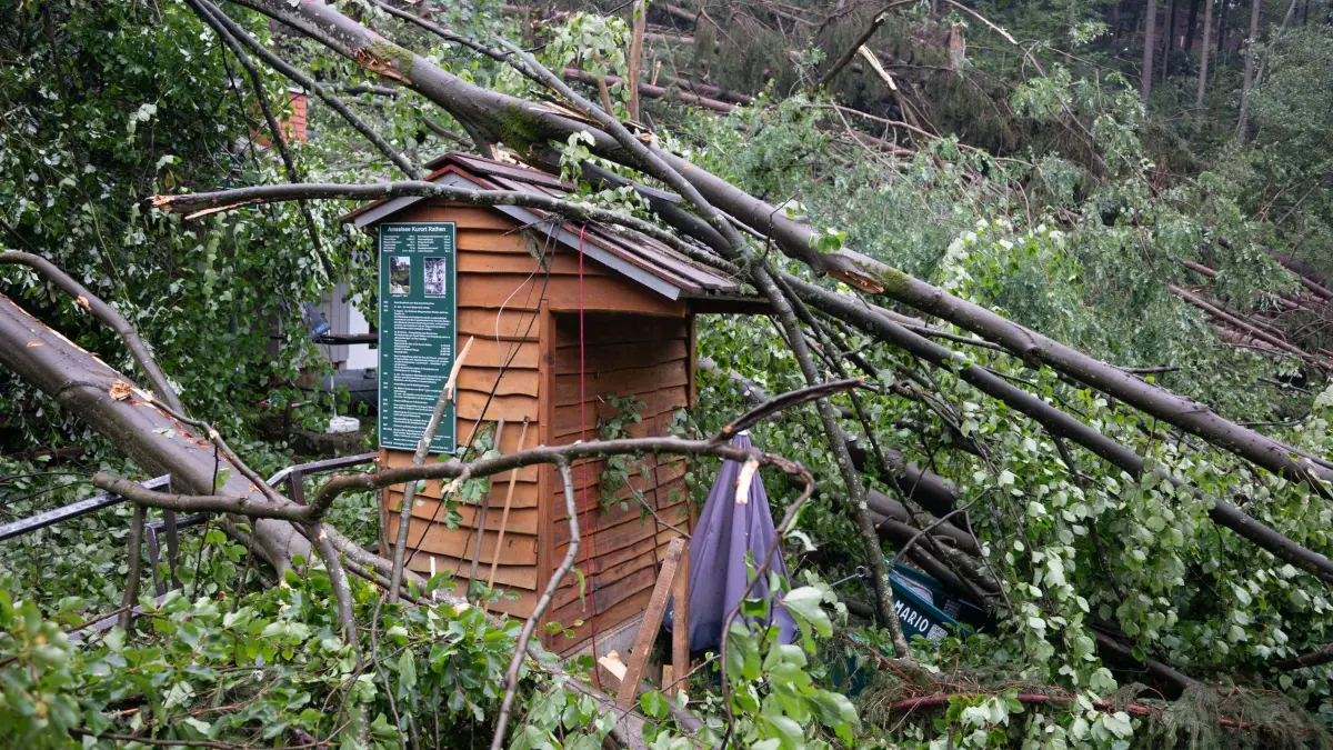 Sturmschäden Sächsische Schweiz: 01.08.2026, Sachsen, Rathen: Ein Funktionsgebäude ist am Amselsee nach einem schweren Unwetter in der Sächsischen Schweiz mit Bäumen bedeckt. Nach dem schweren Unwetter mit einem Toten und drei Schwerverletzten ist der Nationalpark für Besucher gesperrt. Foto: Sebastian Kahnert/dpa +++ dpa-Bildfunk +++