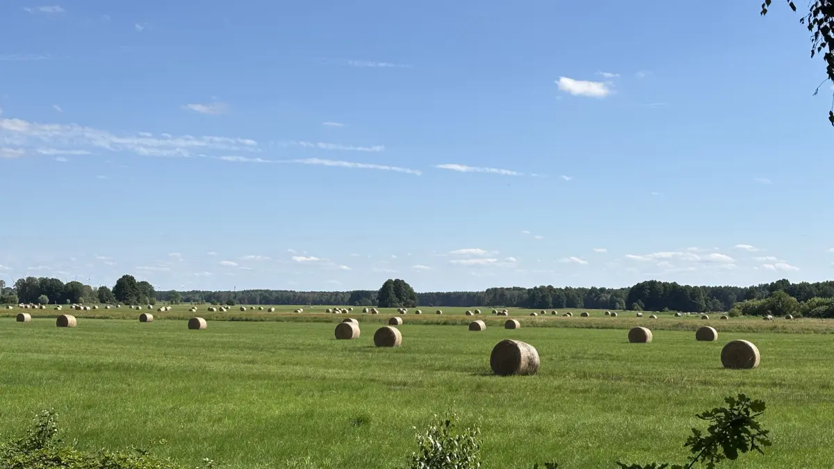 Der Hofjagdweg, ein Radweg von Königs Wusterhausen nach Lübben, führt durch bezaubernde Natur.