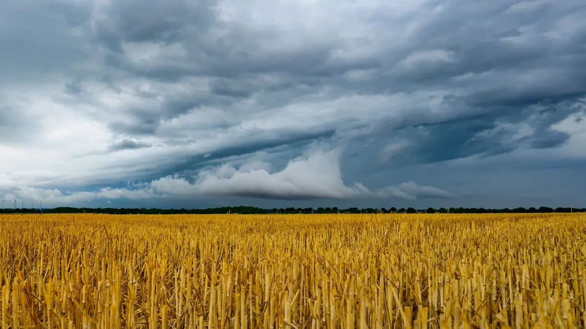 Gewitter und starke Wärmebelastung in Berlin und Brandenburg