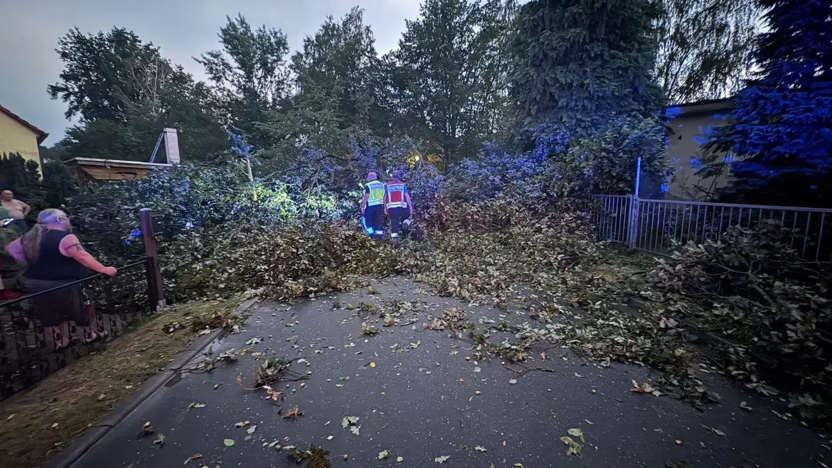 Die Richard-Wagner-Straße in Bad Muskau-Berg ist von der Eiche belegt. Der Baum war infolge der Gewitterzelle umgebrochen wie ein Streichholz