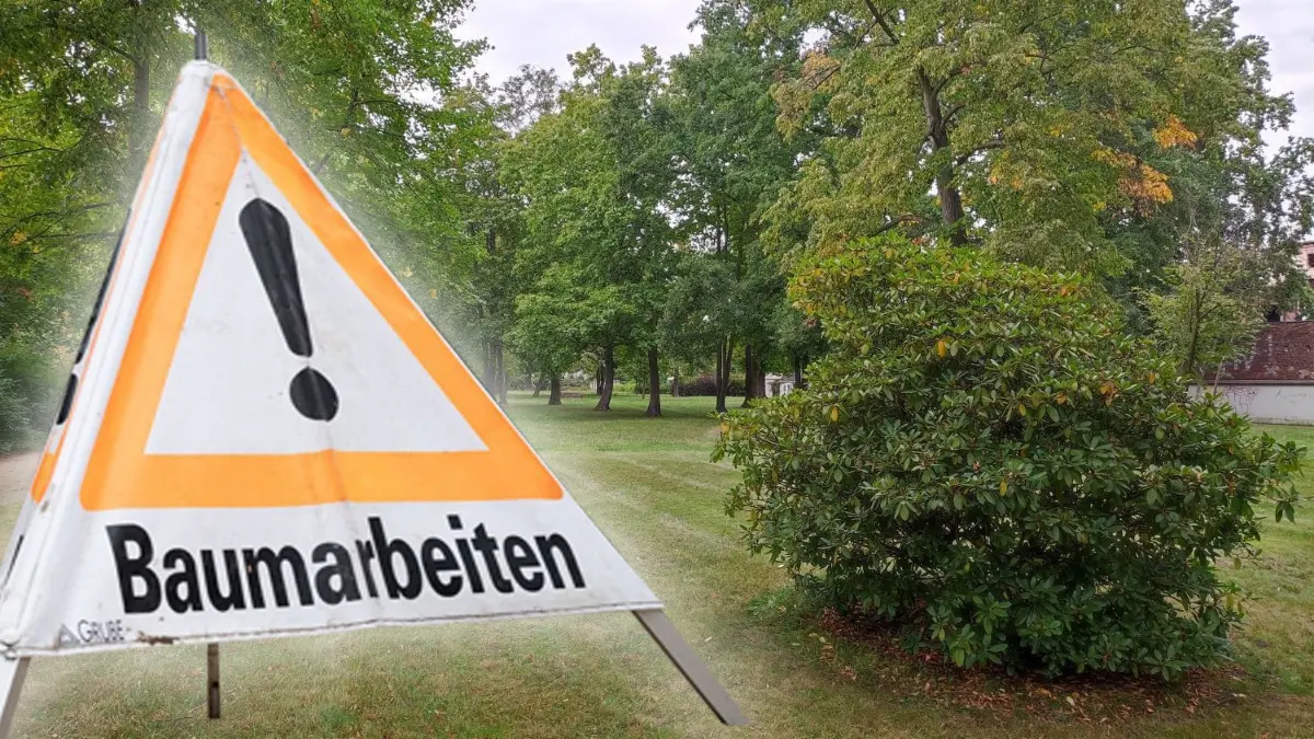 Baumarbeiten im Stadtpark Forst