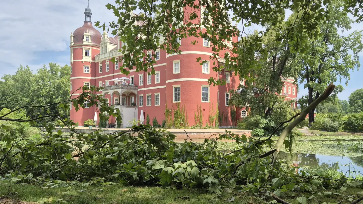 Heruntergebrochene Äste und umgekippt Bäume. Der Muskauer Park ist an vielen Stellen von der Gewitterzelle am 4. August 2026 betroffen. An einigen Stellen ist es aber besonders schlimm.